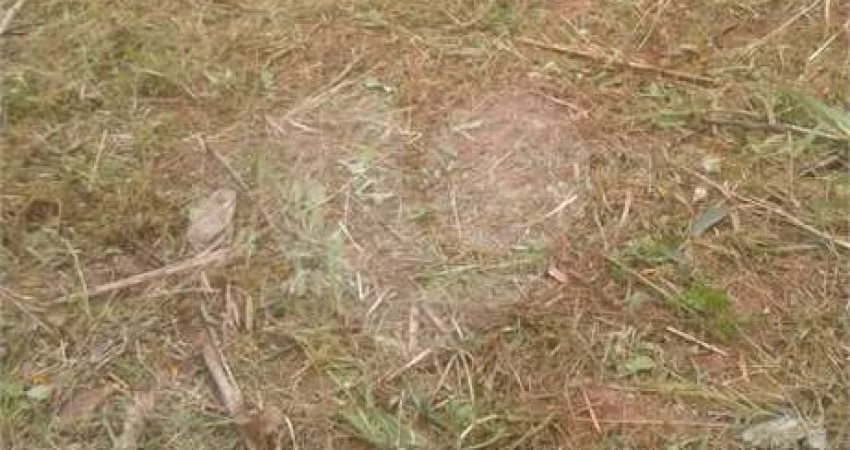 Terreno à venda em Sítio São José - SP