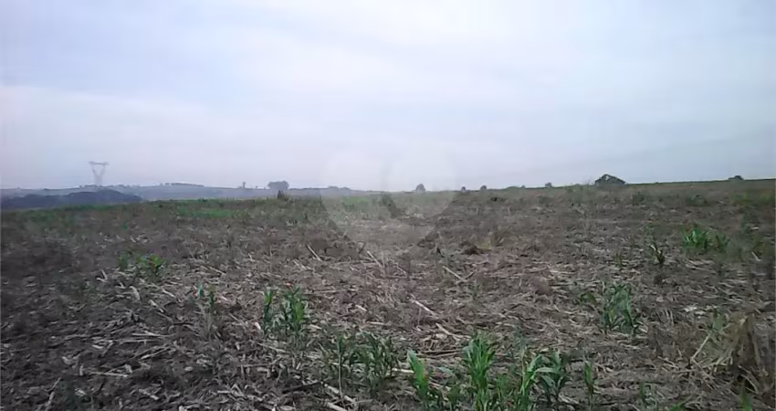 Terreno à venda na Área Rural, Área Rural de Sumaré, Sumaré