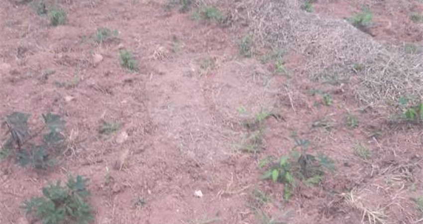 Área de Terra à venda em Loteamento Pinheirinho - SP