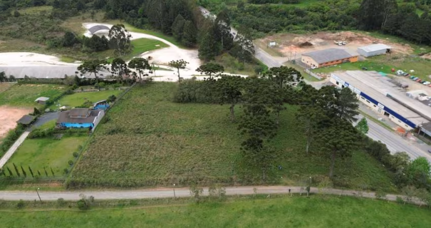 Terreno à venda, 8000 m² por R$ 5.120.000,00 - Centro - Campo Alegre/SC