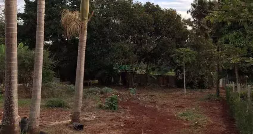 Chácara / sítio à venda na Rua Encarnação Carnisari Guerreiro, Parque Nacional, Londrina