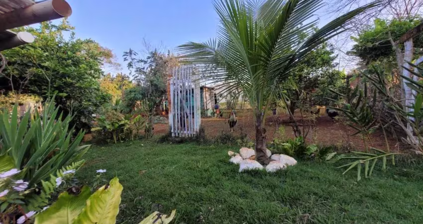Chácara / sítio com 2 quartos à venda na Rua Nelson Morguetti, Cafezal, Londrina