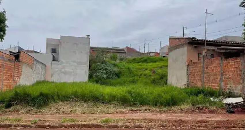 Terreno à venda na Rua Maçarico do Pantanal, Jardim San Raphael V, Arapongas