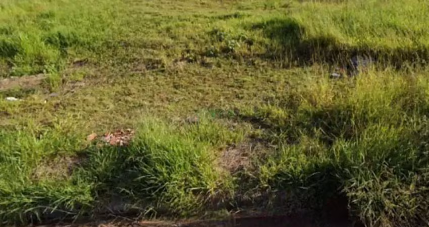 Terreno à venda na Rua Oceano Atlântico, Jardim Ecoville I, Cambé