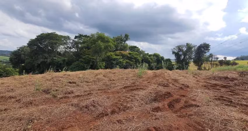 Chácara / sítio à venda na Área Rural de Londrina, Londrina 