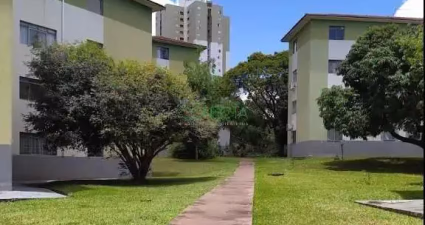 Apartamento com 2 quartos à venda na Rua Flor-da-manhã, Água Verde, Londrina