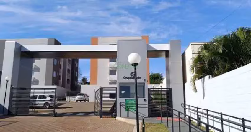 Apartamento com 2 quartos à venda no Vila Nelo, Ibiporã 