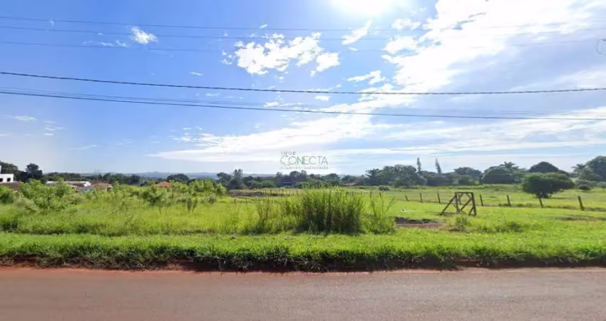 Terreno comercial à venda na Avenida Saul Elkind, Conjunto Vivi Xavier, Londrina