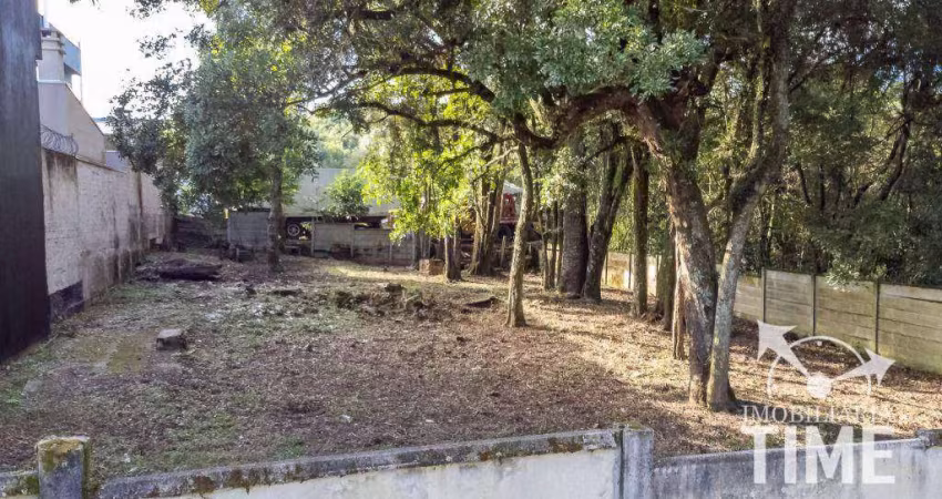 Terreno à venda, 645 m² por R$ 740.000,00 - Mossunguê - Curitiba/PR