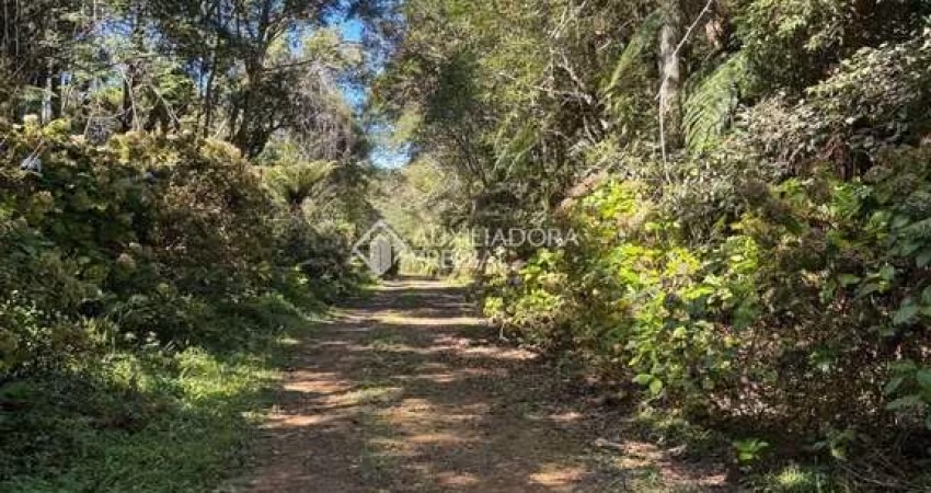 Terreno à venda na Maracajás, 12, Loteamento Colinas de são Francisco, São Francisco de Paula