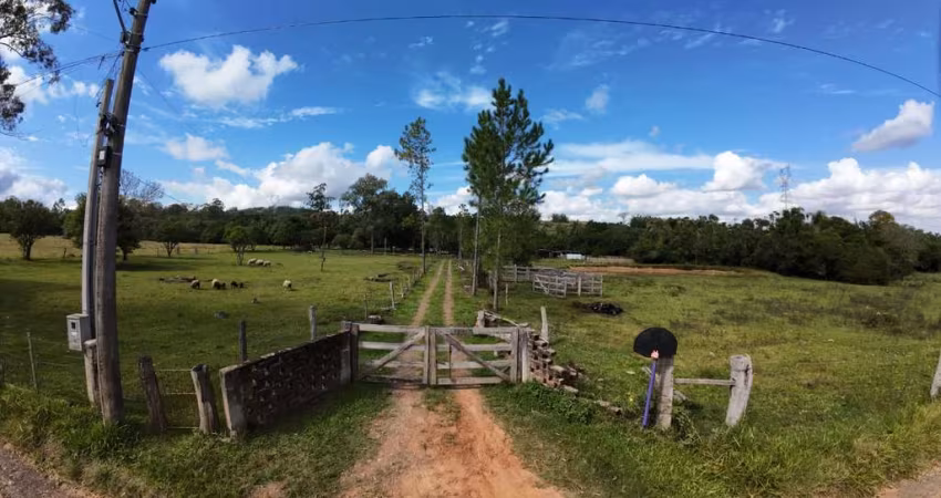 Fazenda à venda na Estrada Dionizio Cardoso de Lima, 9555, Neópolis, Gravataí