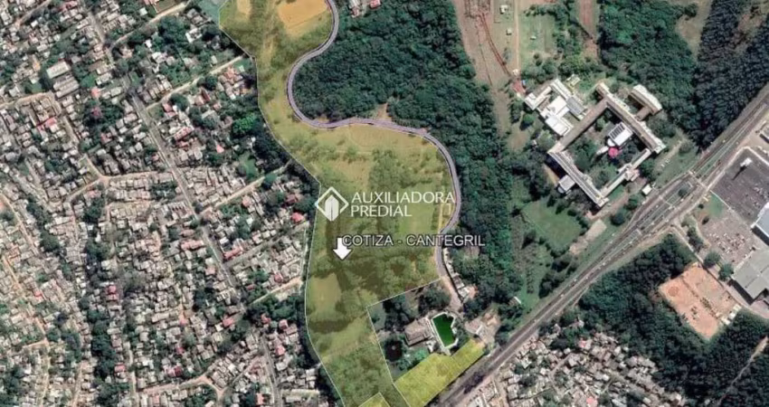 Terreno em condomínio fechado à venda na Avenida Senador Salgado Filho, 6490, São Lucas, Viamão