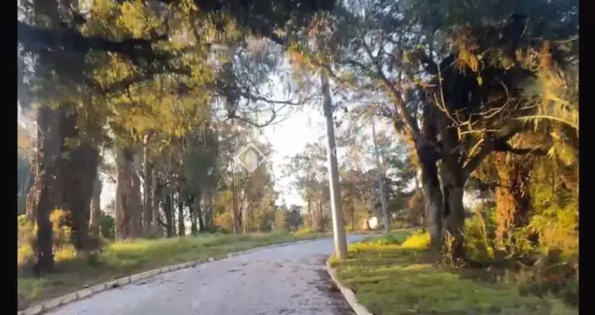 Terreno em condomínio fechado à venda na Avenida Senador Salgado Filho, 6490, São Lucas, Viamão
