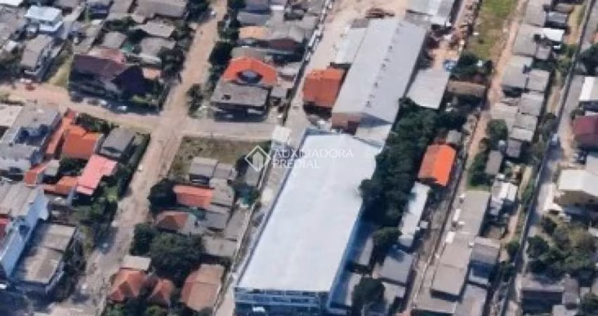 Barracão / Galpão / Depósito para alugar na Avenida Juca Batista, 2256, Cavalhada, Porto Alegre