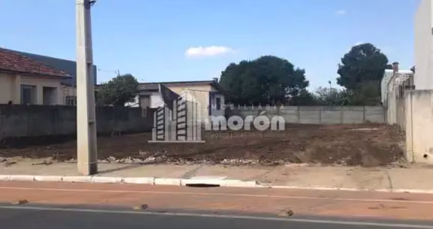Terreno à venda na Avenida Monteiro Lobato, 682, Jardim Carvalho, Ponta Grossa