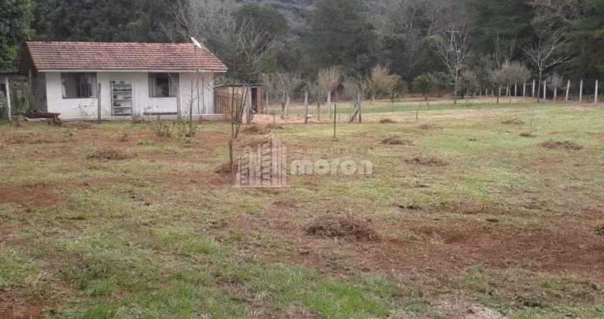 Chácara / sítio para alugar na Rua Francisco Galvão, 40, Chapada, Ponta Grossa