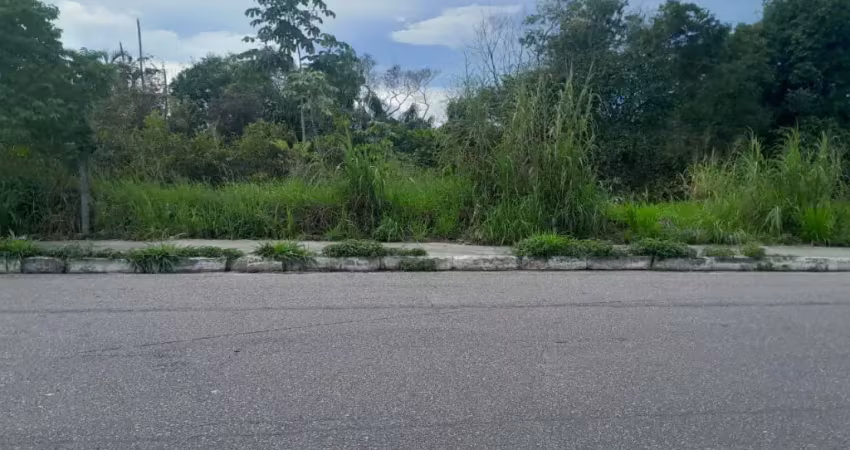 Terreno à venda na Rua Visconde de Porto Seguro, 110, Flores, Manaus