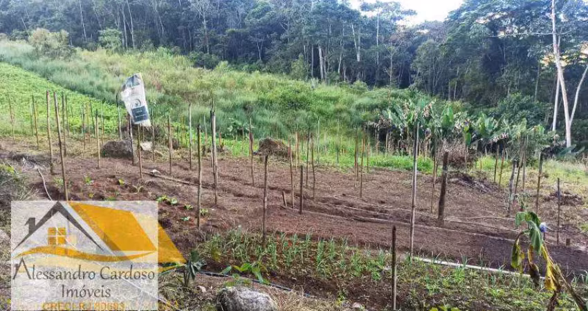 Vendo chácara com 140 mil mts² em Riograndina