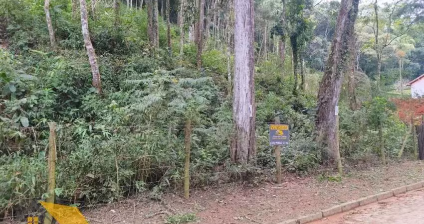 Terreno à venda na Alameda da Saudade, 100, Fazenda Bela Vista, Nova Friburgo