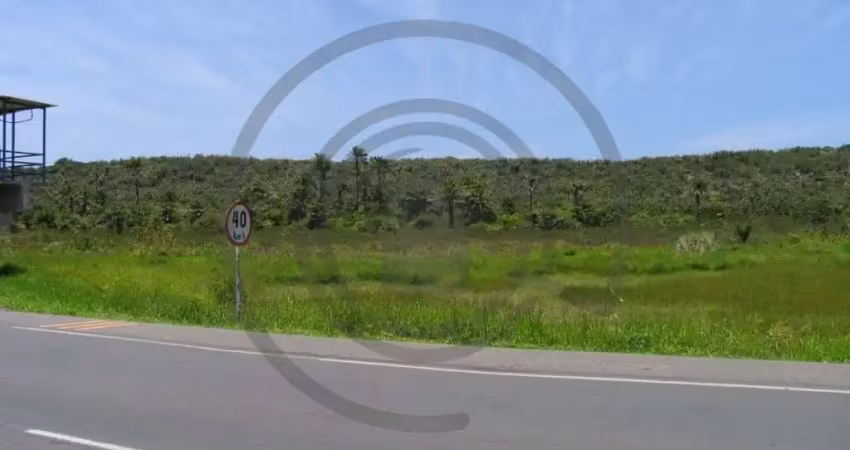 Terreno à venda no bairro arembepe (abrantes) em camaçari/ba