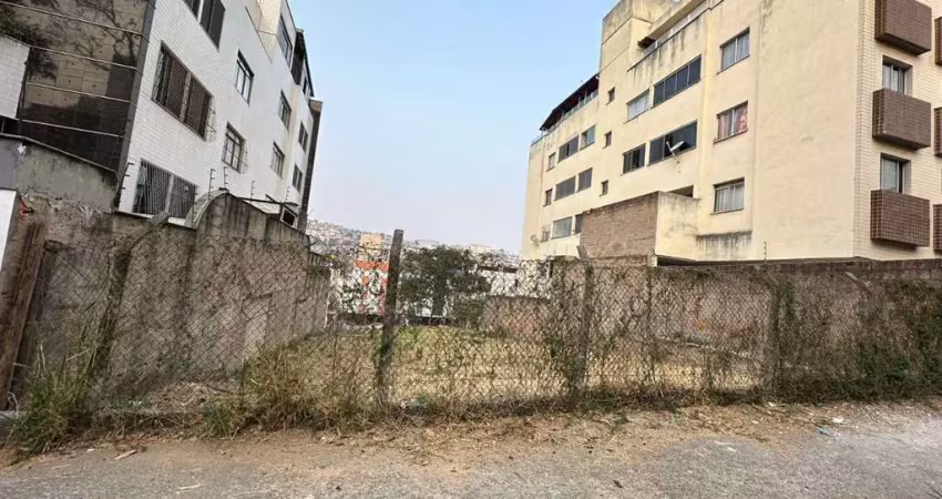 Investimento exclusivo: terreno de 840m² no bairro castelo, bh &#150; potencial de alta valorização!