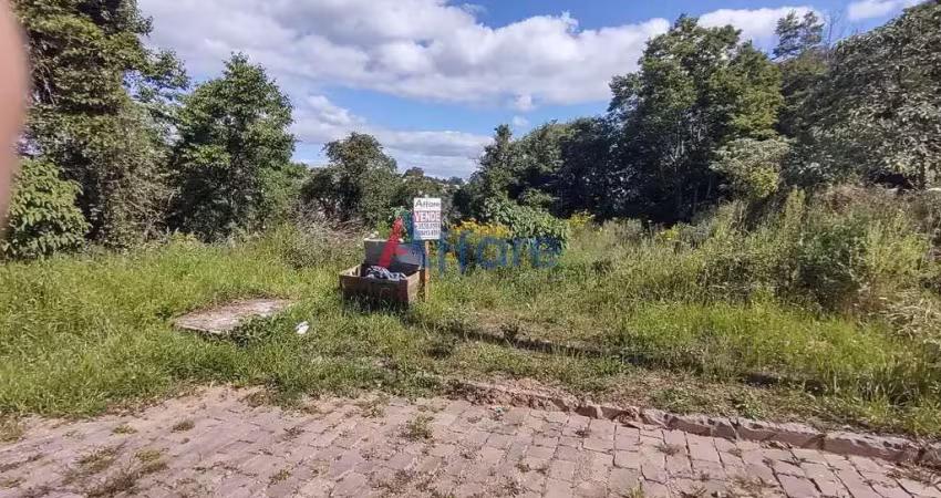 Terreno à venda no Salgado Filho, Caxias do Sul 