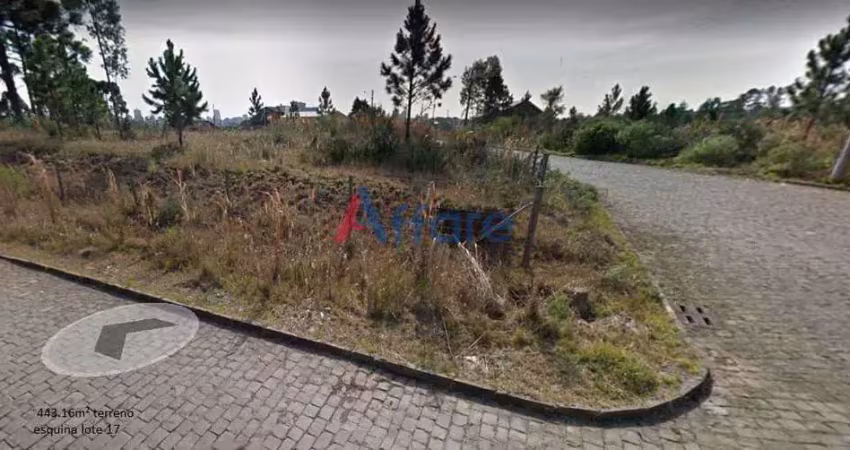 Terreno à venda na Bela Vista, Caxias do Sul 