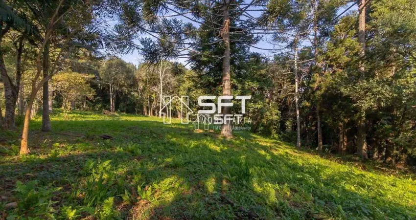 Terreno à venda, 1977 m² por r$ 715.000,00 - cachoeira - curitiba/pr