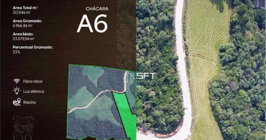 Chácara / sítio à venda na Estrada do Serro do Purunã, Centro, Balsa Nova