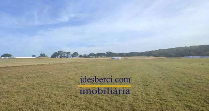 Chácara / sítio à venda na Gleba estrada HBR 030, sn, Zona Rural, Holambra