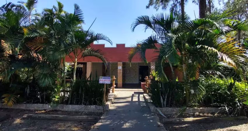 Sala comercial para alugar na Rua Primavera, 1441, 1441, Centro, Holambra