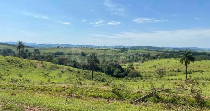 Fazenda à venda na Zona Rural, Santo Antônio de Posse 