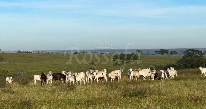 Chácara / sítio à venda na Zona Rural, Rubinéia 