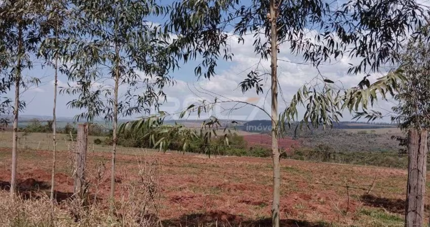 Oportunidade única! Sítio à venda no Distrito de Santa Eudoxia, São Carlos