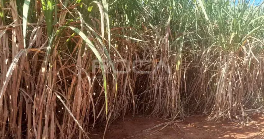 Encantador sítio à venda em são carlos - imóvel rural com preço imperdível!