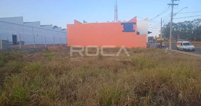 Terreno à venda na Rua Nilo Sérgio Paulino, Parque Novo Mundo, São Carlos
