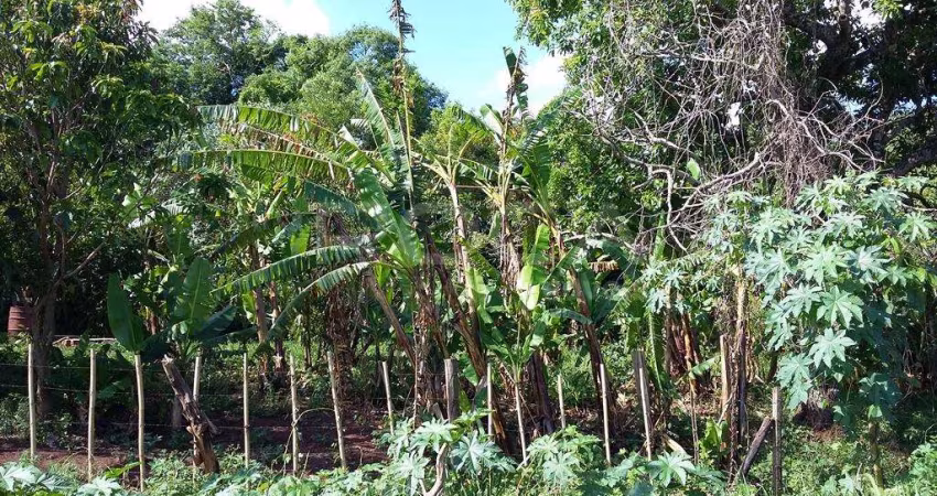 Chácara / sítio à venda na Rua Jesuíno de Arruda, 3663, Jardim São Carlos, São Carlos