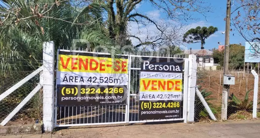Terreno comercial à venda no Centro, Veranópolis 