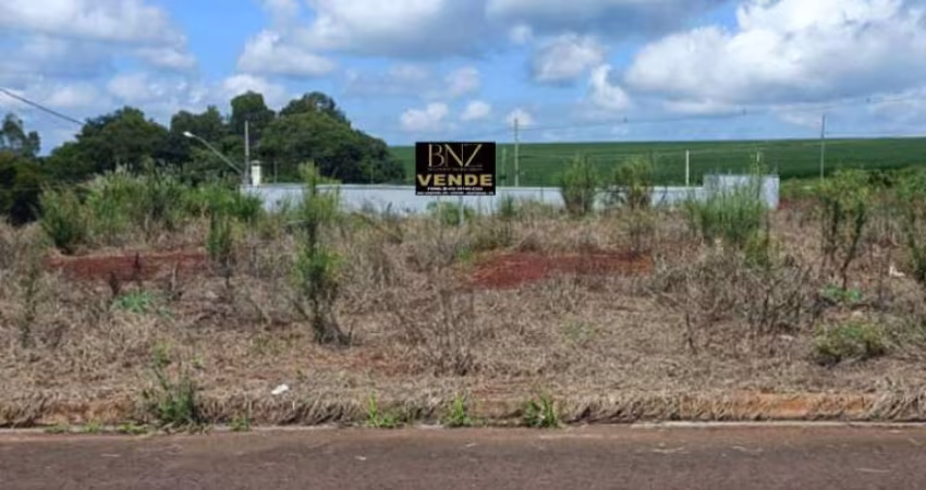 Terreno à Venda no Conjunto Araucárias