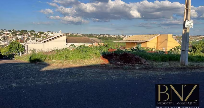Terreno de Esquina na Melhor Rua do Jardim Novo Centauro