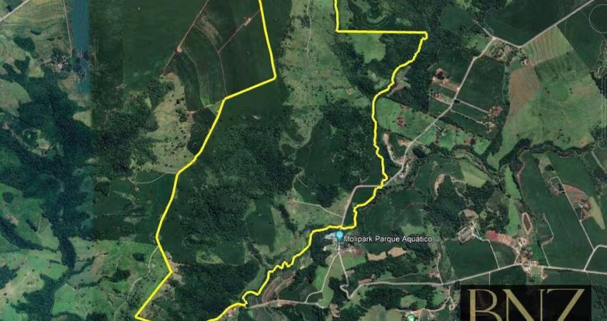 Fazenda à Venda em Sabáudia-PR, próximo ao Molipark