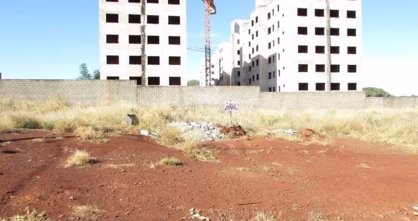 VENDA - TERRENO LOCALIZADO NO JARDIM JOÃO MARQUES DOS REIS, EM PAIÇANDU