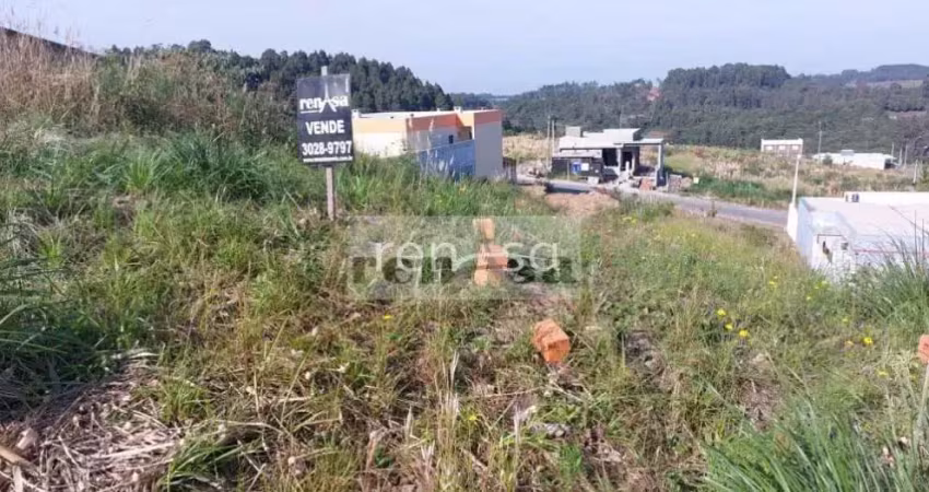 Terreno Desvio Rizzo/Forqueta, CAXIAS DO SUL-RS - 8785