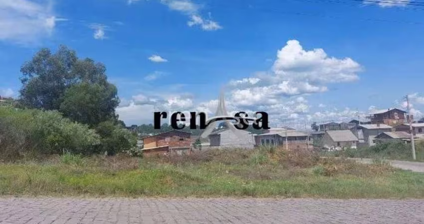 Terreno, Nossa Senhora das Graças, Caxias do Sul - 8560