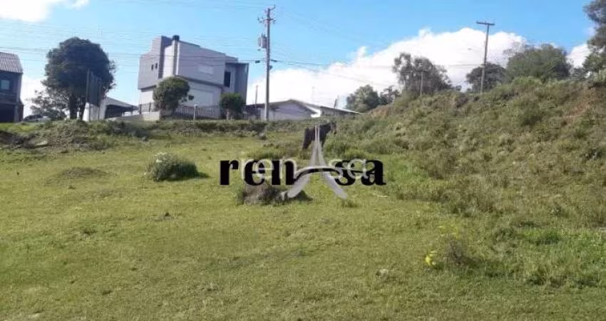 Terreno Cidade nova CAXIAS DO SUL - 8317