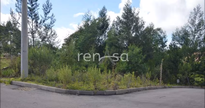 Terreno, De Zorzi, Caxias do Sul - 8179