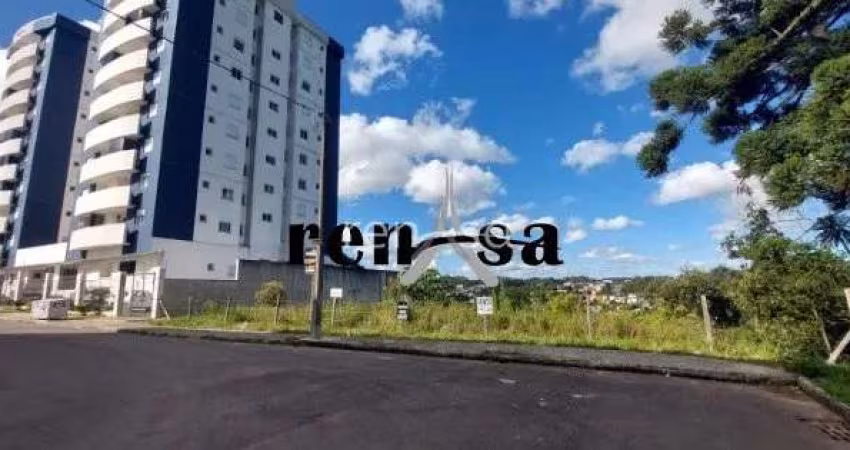 Terreno, Vila Verde, Caxias do Sul - 8166