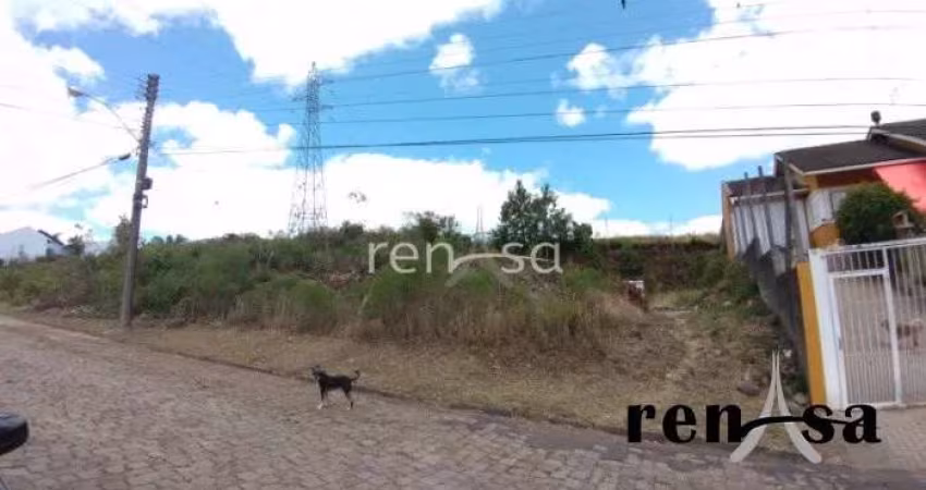 Terreno, Nossa Senhora da Saúde, Caxias do Sul - 8028