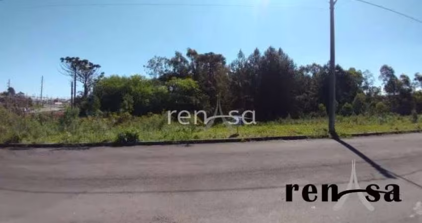 Terreno Bela Vista CAXIAS DO SUL - 7963