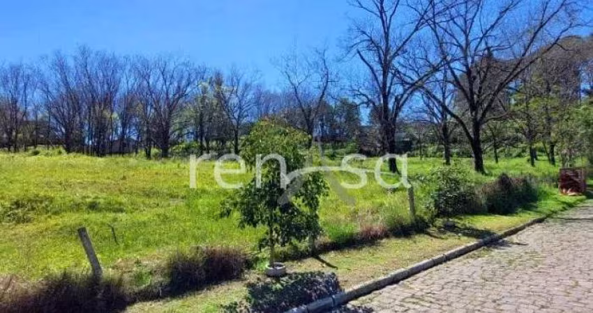 Terreno, São Caetano, Caxias do Sul - 7932